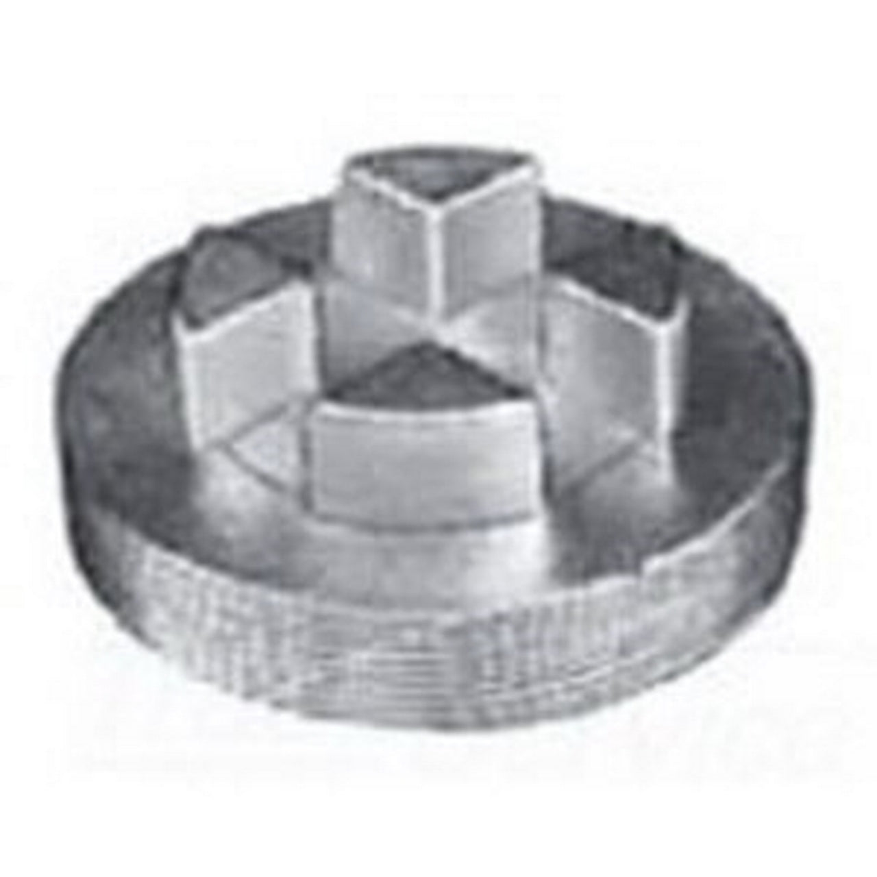 PLG600B - Appleton - 6" Bar Head Malleable Explosion Proof Close-Up Plug