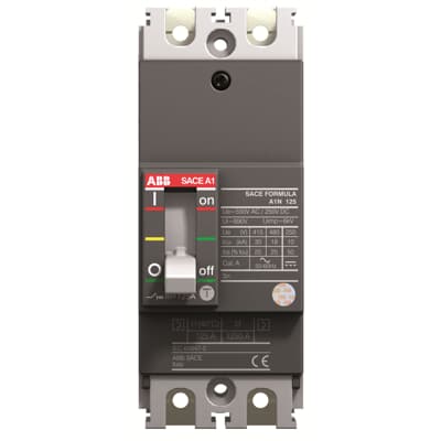A1N100TW-2 - ABB - 2-Pole 100A Circuit Breaker