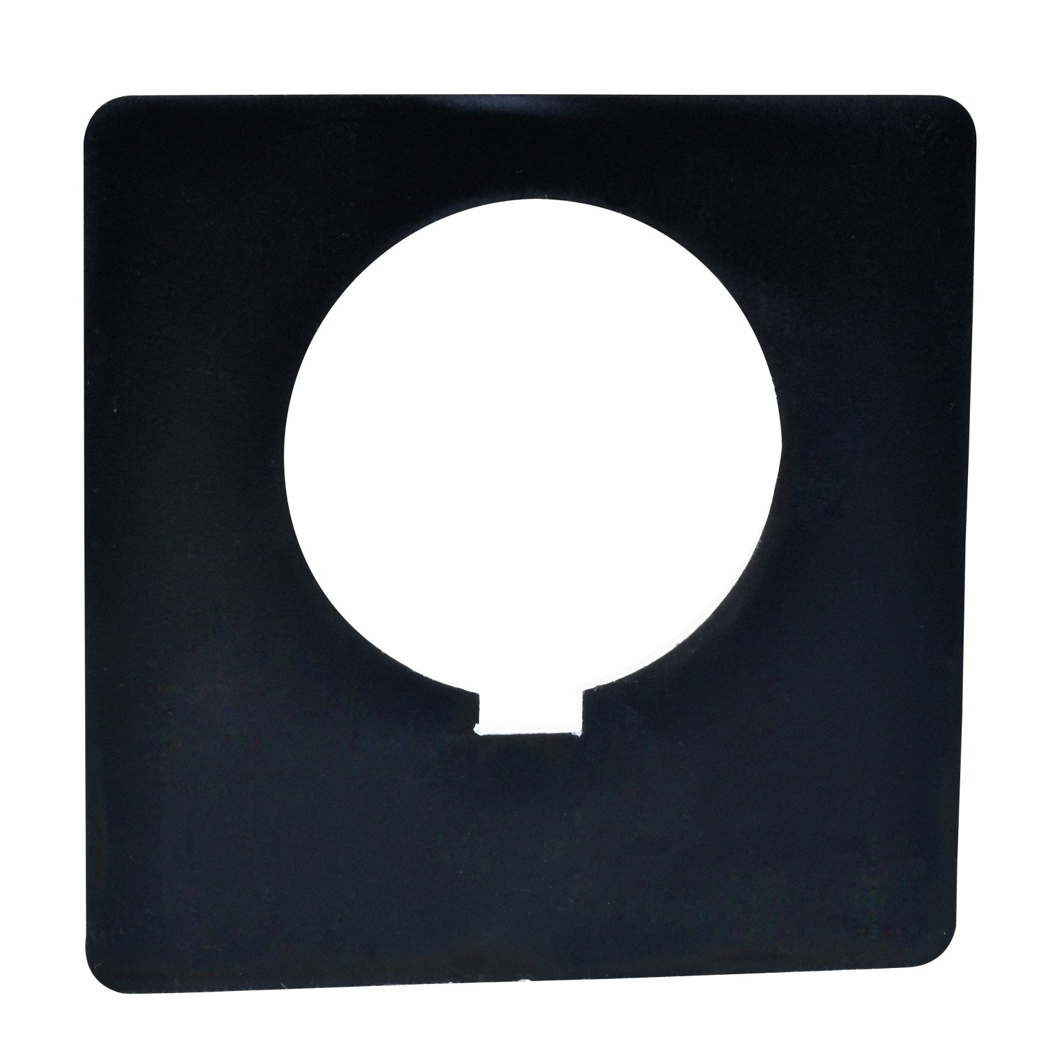 9001KN100BP - Schneider Electric - Square D 30mm Blank Legend Plate
