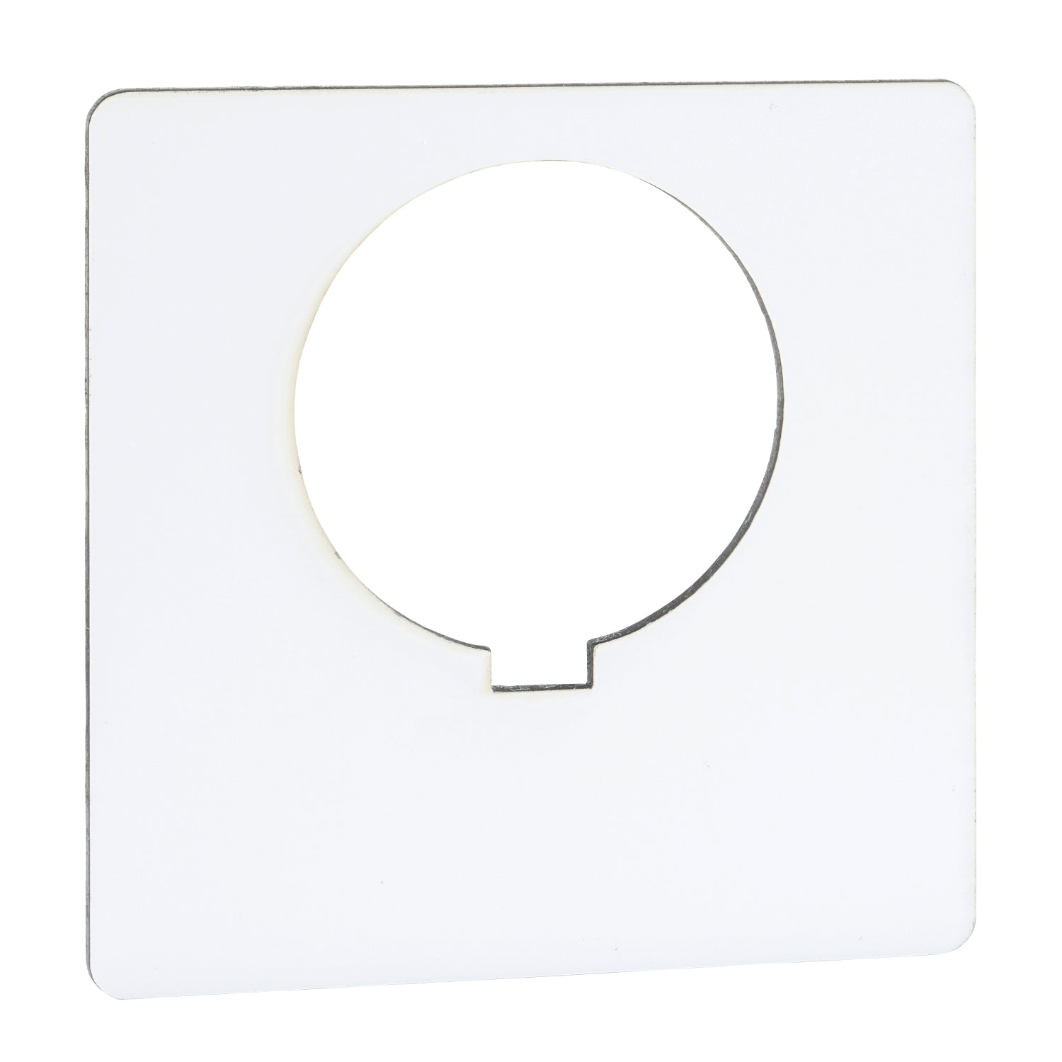 9001KN100WP - Schneider Electric - Square D 30mm Blank White Legend Plate